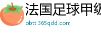 法国足球甲级联赛